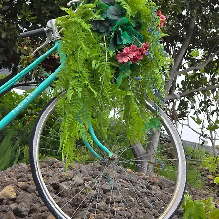Holiday home La De La Bicicleta