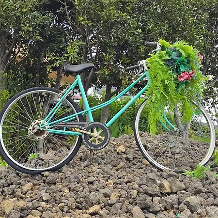 La De La Bicicleta Brena Alta
